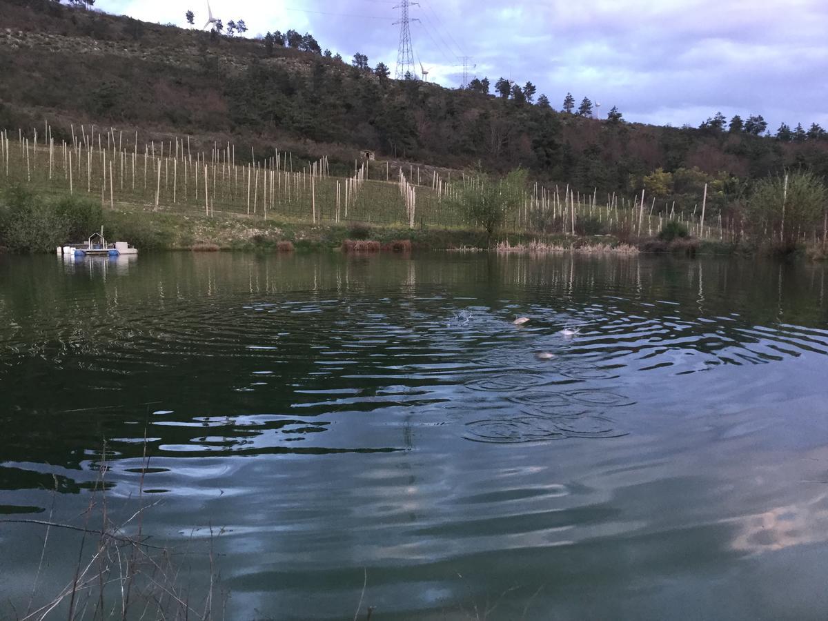 Quinta Bemboa Turismo Espaco Rural Aricera Екстер'єр фото