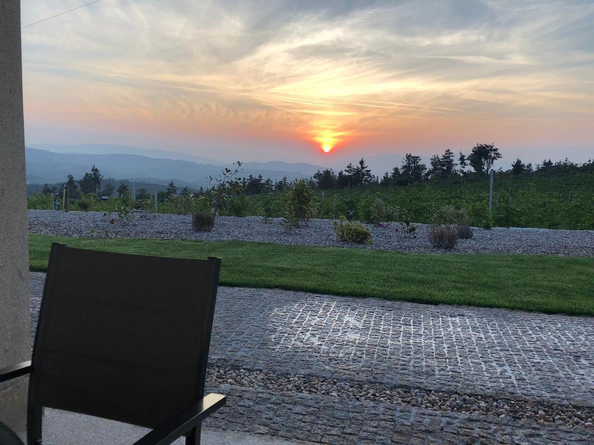Quinta Bemboa Turismo Espaco Rural Aricera Екстер'єр фото