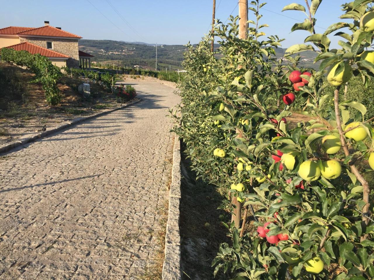 Quinta Bemboa Turismo Espaco Rural Aricera Екстер'єр фото
