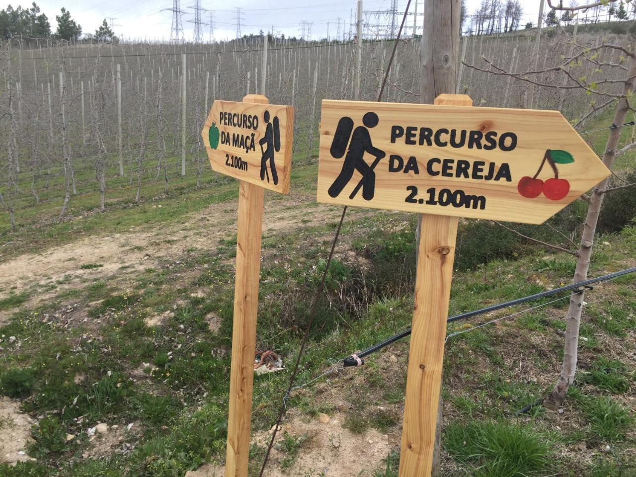 Quinta Bemboa Turismo Espaco Rural Aricera Екстер'єр фото