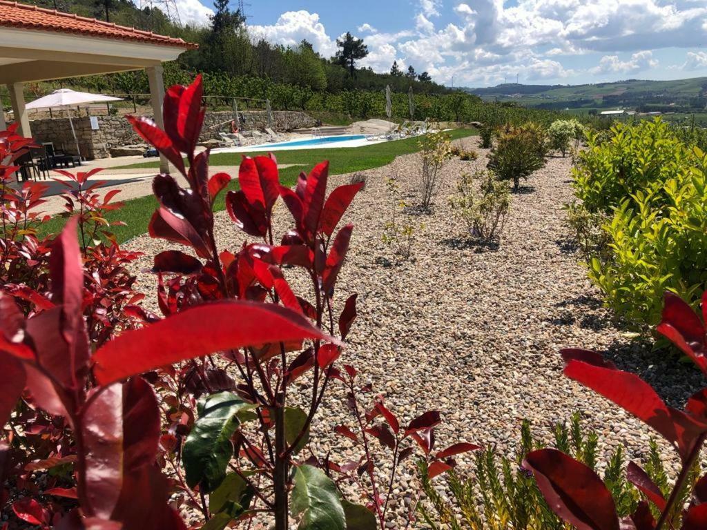 Quinta Bemboa Turismo Espaco Rural Aricera Екстер'єр фото