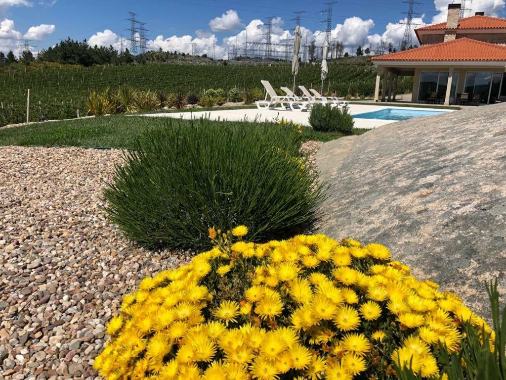 Quinta Bemboa Turismo Espaco Rural Aricera Екстер'єр фото